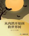 架向星空之桥ova