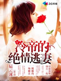 请叫我总监免费观看