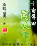 整篇都是车的多肉糙汉文