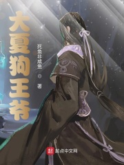 扫黑风暴多少集