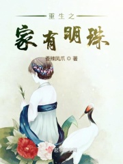 男男车车的车车视频真人