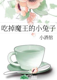 还珠格格肉版小说全集