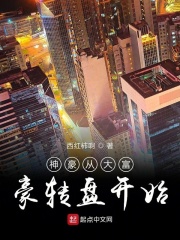 av图片小说