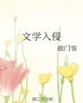 敌后武工队传奇