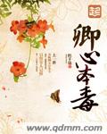 一枚硬币po文