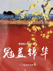 欧美mv