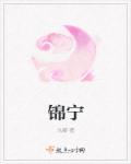 每日更新在线观看