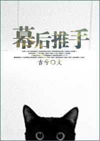 6080伦理片午夜电影在线