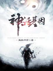 鲁班大师