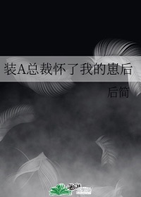 风流杨门女将浪荡合集