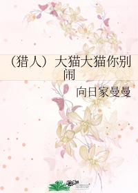 征服各种美妇系列小说网