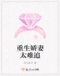 黄警官遇难记小说