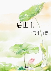 jiqingxiaoshuo