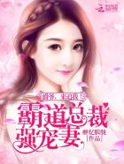 枫与铃动漫在线