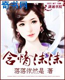 顶级暴徒小说