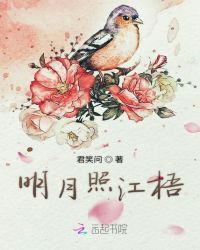 伴侣