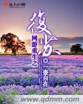 神奇阿呦之最强流星人