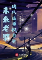 卑鄙的我3