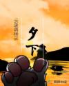 骑士电影网