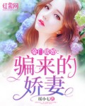 陈说美食百家号