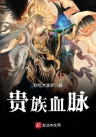 激情视频小说