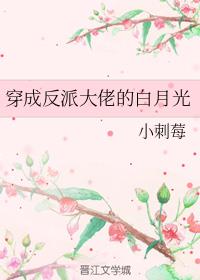 宫锁珠帘免费观看