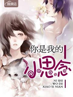 逐夏小说