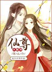 新版金梅2
