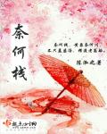 花瓶专业户txt