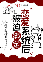 后宫露营在线