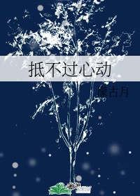 风流岛tv永久免费