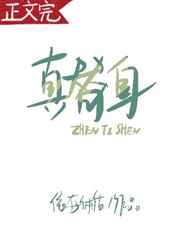 大团结最新章节目录