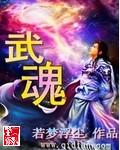 帝皇铠甲大电影