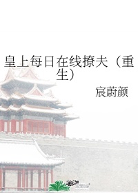韩国2024理论片在线播放