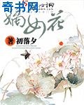污网站app