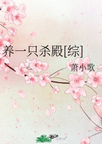 狂C英语课代表