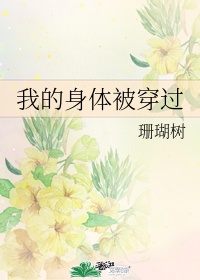 何洁释小龙