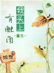 mimiboard影视作品
