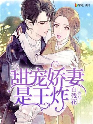 薛家将外传