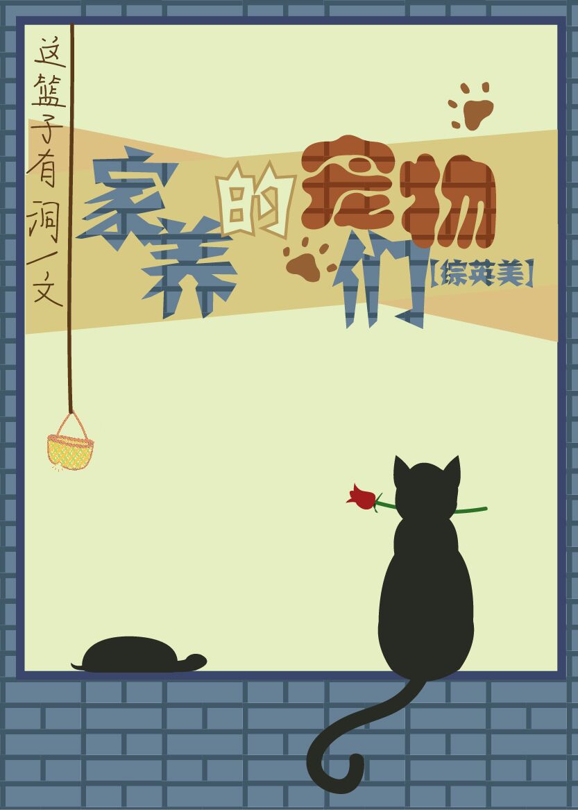 津渝视频完整版哪里可以看到