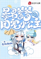 安宁的小说