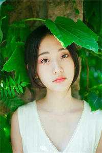 美剧driven第一季
