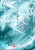 撸小说