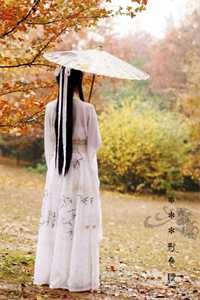 天才鉴宝师