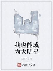 非法入境小说