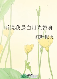 我迟到了那么多年电视剧免费观看星空影视