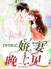 第7部分韩燕和黄总无删节