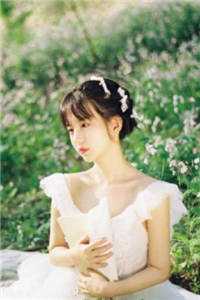 宋末之乱臣贼子