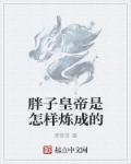 宝葫芦的秘密作者