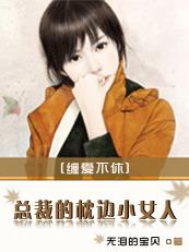 反黑路人甲粤语在线观看